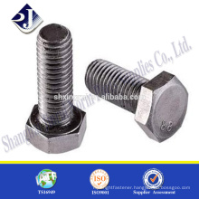 Zinc plated bolt Din933 bolt hexagonal bolt full thread